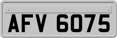 AFV6075