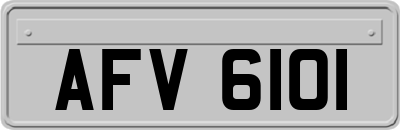 AFV6101