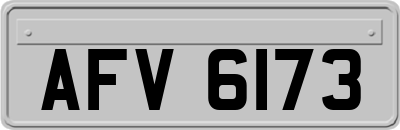 AFV6173