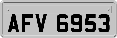 AFV6953