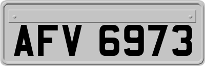 AFV6973