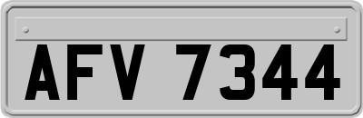 AFV7344