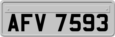 AFV7593