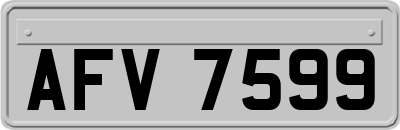 AFV7599