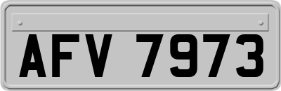 AFV7973