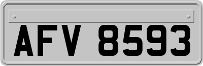 AFV8593