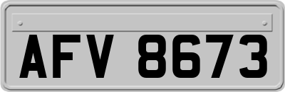 AFV8673