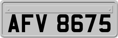 AFV8675