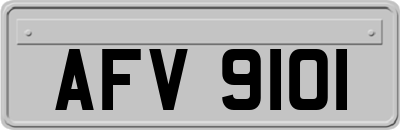 AFV9101