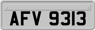 AFV9313