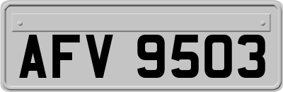 AFV9503