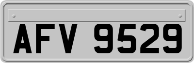 AFV9529