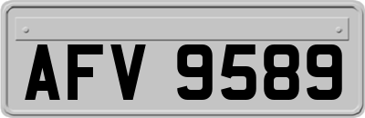 AFV9589