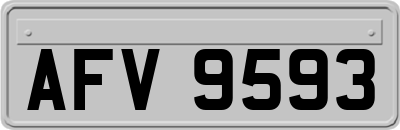 AFV9593