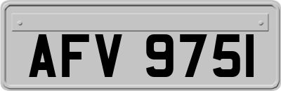AFV9751