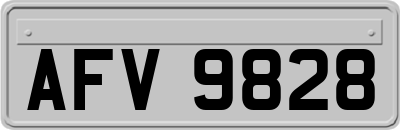 AFV9828