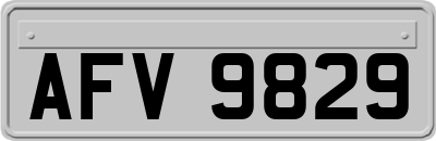 AFV9829