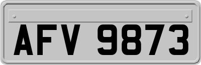 AFV9873