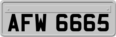 AFW6665