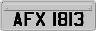 AFX1813