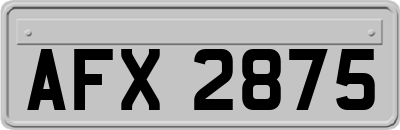 AFX2875