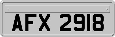 AFX2918
