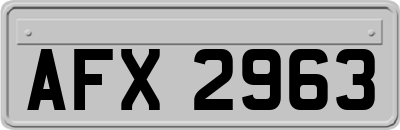 AFX2963