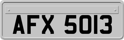 AFX5013