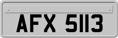 AFX5113
