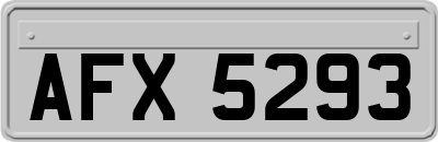 AFX5293