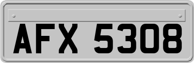 AFX5308