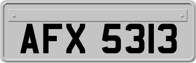 AFX5313