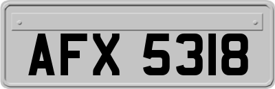 AFX5318