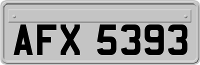 AFX5393