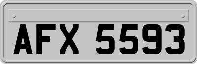 AFX5593