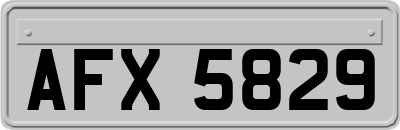 AFX5829