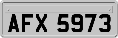 AFX5973