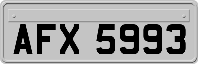 AFX5993