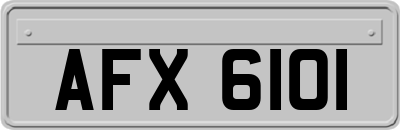 AFX6101