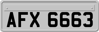 AFX6663