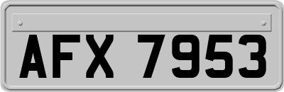 AFX7953