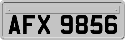 AFX9856