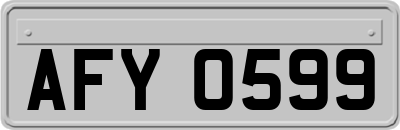 AFY0599