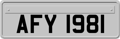 AFY1981