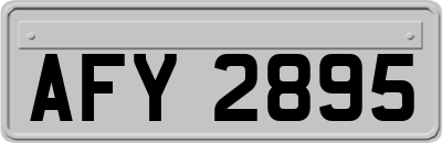 AFY2895