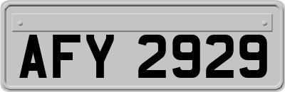 AFY2929