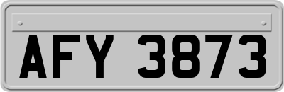 AFY3873