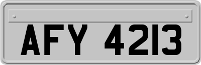 AFY4213