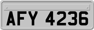 AFY4236