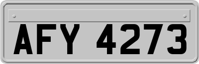 AFY4273